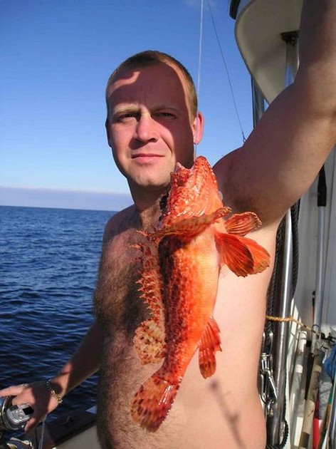 scorpionfish Cavalier & Blue Marlin Sport Fishing Gran Canaria