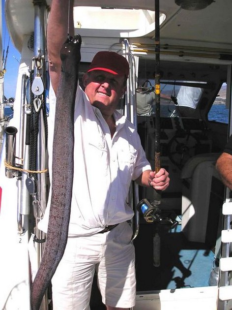 brown moray eel Cavalier & Blue Marlin Sport Fishing Gran Canaria