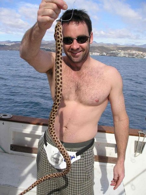 snake Cavalier & Blue Marlin Sport Fishing Gran Canaria