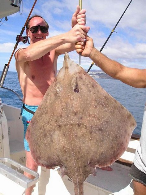 thornback ray Cavalier & Blue Marlin Sport Fishing Gran Canaria