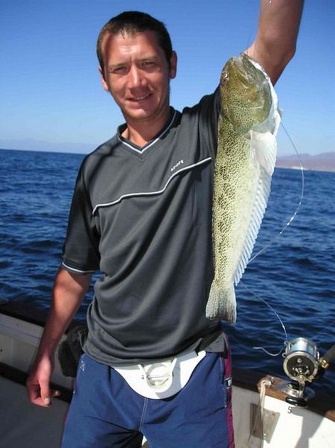 steaked weever Cavalier & Blue Marlin Sport Fishing Gran Canaria