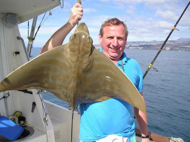 duckbill ray Cavalier & Blue Marlin Sport Fishing Gran Canaria