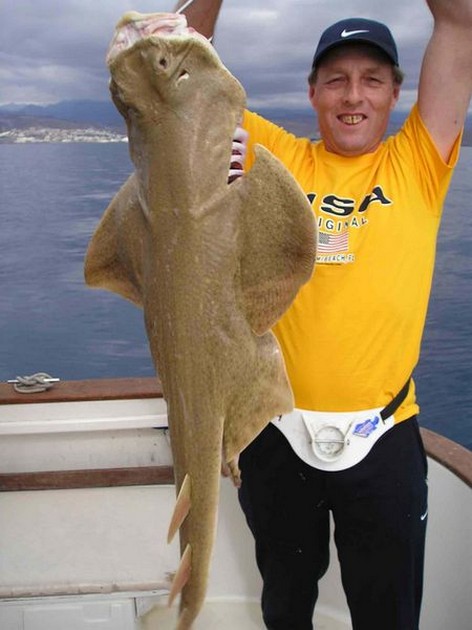 angel shark Cavalier & Blue Marlin Sport Fishing Gran Canaria