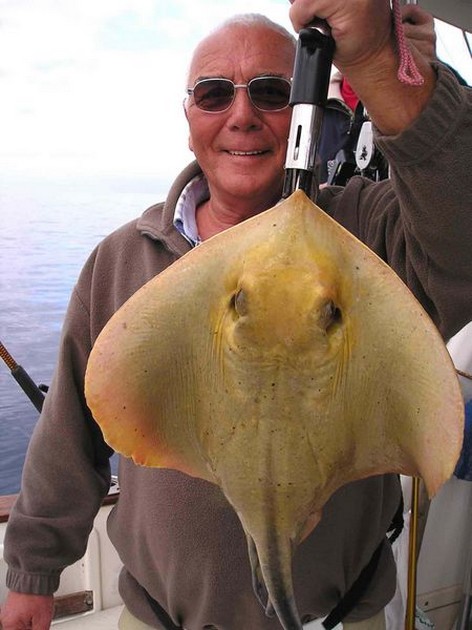 common stingray Cavalier & Blue Marlin Sport Fishing Gran Canaria