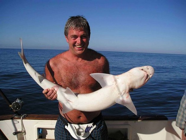 smooth hound Cavalier & Blue Marlin Sport Fishing Gran Canaria