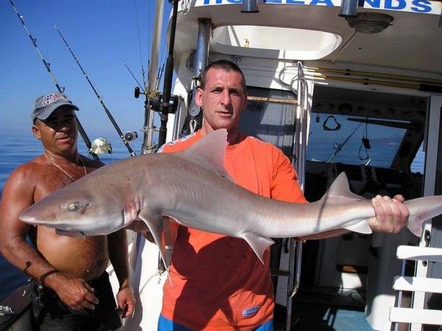 smooth hound Cavalier & Blue Marlin Sport Fishing Gran Canaria