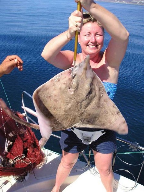 thornback ray Cavalier & Blue Marlin Sport Fishing Gran Canaria