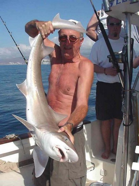 smooth hound Cavalier & Blue Marlin Sport Fishing Gran Canaria