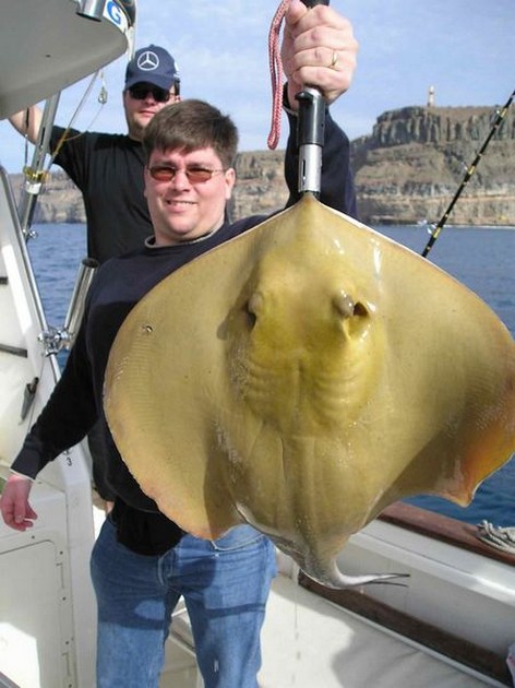 common stingray Cavalier & Blue Marlin Sport Fishing Gran Canaria