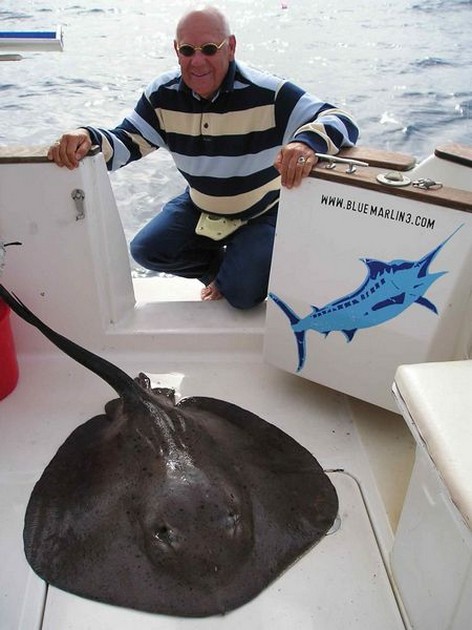 round stingray Cavalier & Blue Marlin Sport Fishing Gran Canaria