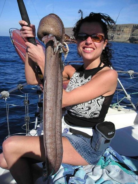 brown moray eel Cavalier & Blue Marlin Sport Fishing Gran Canaria