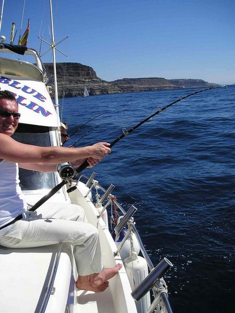 hooked up Cavalier & Blue Marlin Sport Fishing Gran Canaria