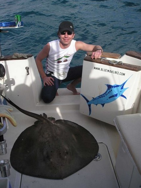roughtail stingray Cavalier & Blue Marlin Sport Fishing Gran Canaria