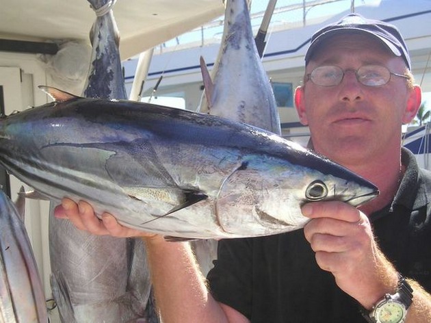 skipjack tuna Cavalier & Blue Marlin Sport Fishing Gran Canaria