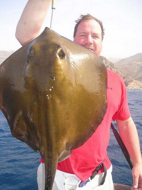 common stingray Cavalier & Blue Marlin Sport Fishing Gran Canaria