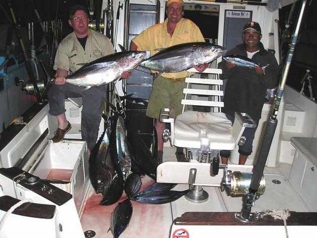 albacore tuna Cavalier & Blue Marlin Sport Fishing Gran Canaria