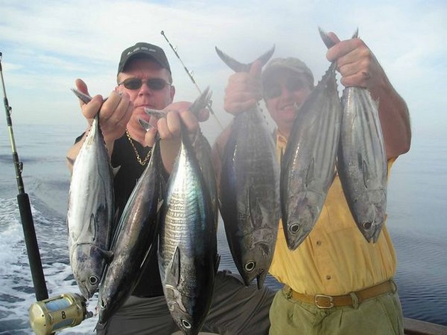 skipjack tuna Cavalier & Blue Marlin Sport Fishing Gran Canaria