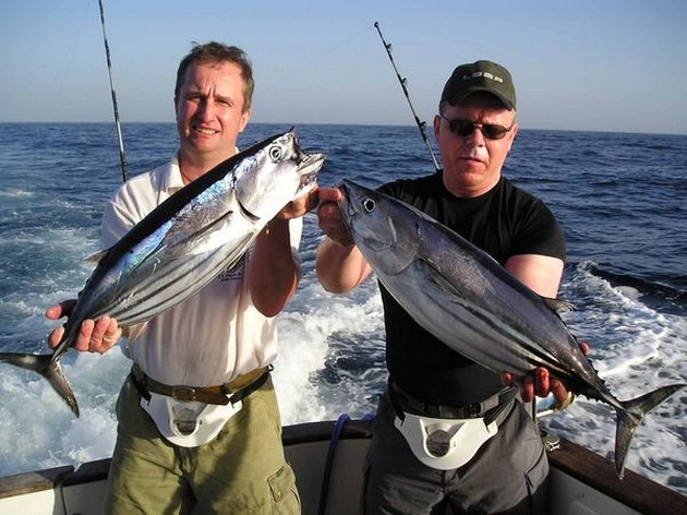 skipjack tuna Cavalier & Blue Marlin Sport Fishing Gran Canaria