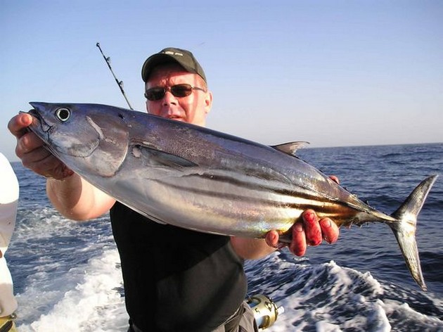 skipjack tuna Cavalier & Blue Marlin Sport Fishing Gran Canaria