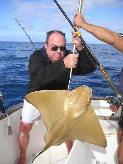 eagle ray Cavalier & Blue Marlin Sport Fishing Gran Canaria