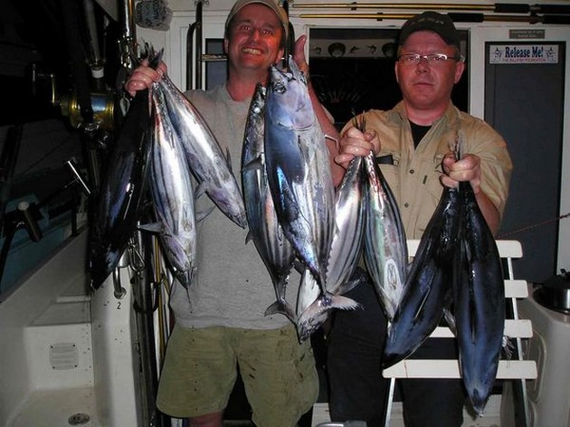 skipjack tuna Cavalier & Blue Marlin Sport Fishing Gran Canaria