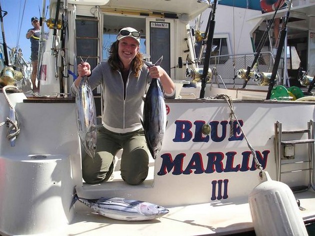 skipjack tuna Cavalier & Blue Marlin Sport Fishing Gran Canaria