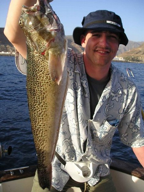 steaked weever Cavalier & Blue Marlin Sport Fishing Gran Canaria