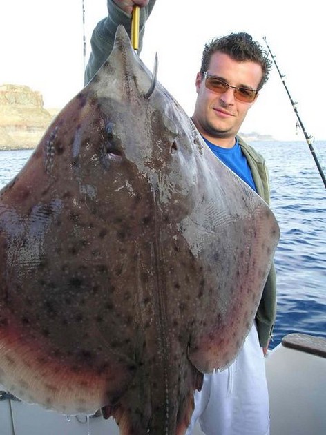 blonde ray Cavalier & Blue Marlin Sport Fishing Gran Canaria