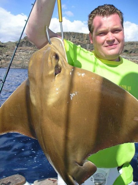 eagle ray Cavalier & Blue Marlin Sport Fishing Gran Canaria