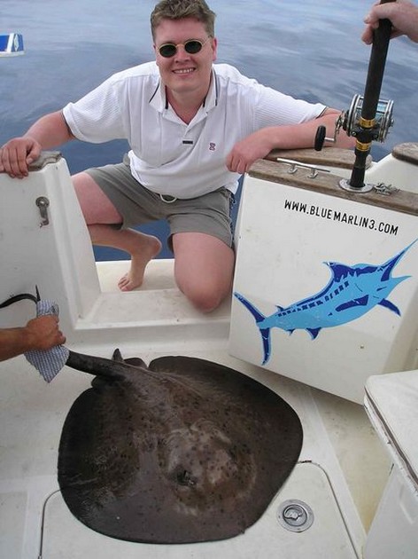 round stingray Cavalier & Blue Marlin Sport Fishing Gran Canaria