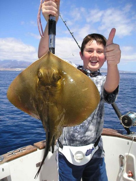 common stingray Cavalier & Blue Marlin Sport Fishing Gran Canaria