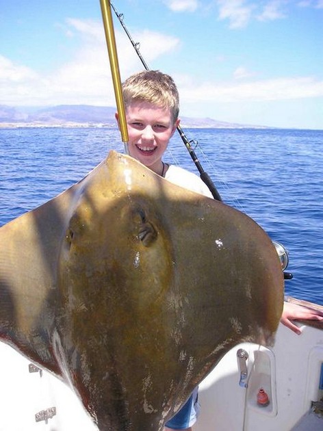 common stingray Cavalier & Blue Marlin Sport Fishing Gran Canaria