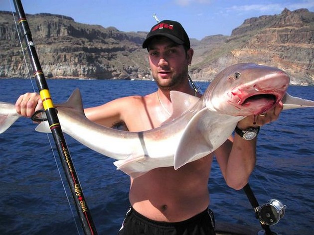 smooth hound Cavalier & Blue Marlin Sport Fishing Gran Canaria