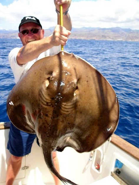 round stingray Cavalier & Blue Marlin Sport Fishing Gran Canaria