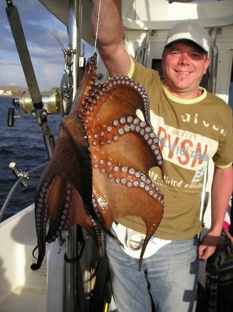 octopus Cavalier & Blue Marlin Sport Fishing Gran Canaria