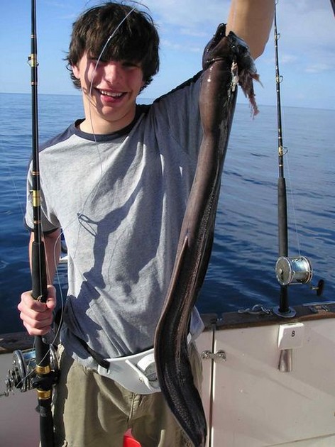 brown moray eel Cavalier & Blue Marlin Sport Fishing Gran Canaria