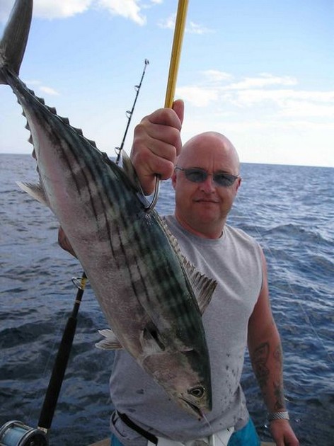 north atlantic bonito Cavalier & Blue Marlin Sport Fishing Gran Canaria