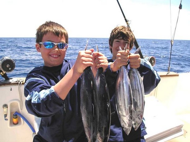 skipjack tuna Cavalier & Blue Marlin Sport Fishing Gran Canaria