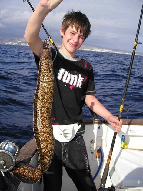 tiger moray Cavalier & Blue Marlin Sport Fishing Gran Canaria