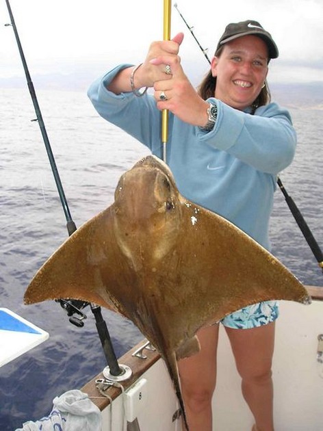 eagle ray Cavalier & Blue Marlin Sport Fishing Gran Canaria