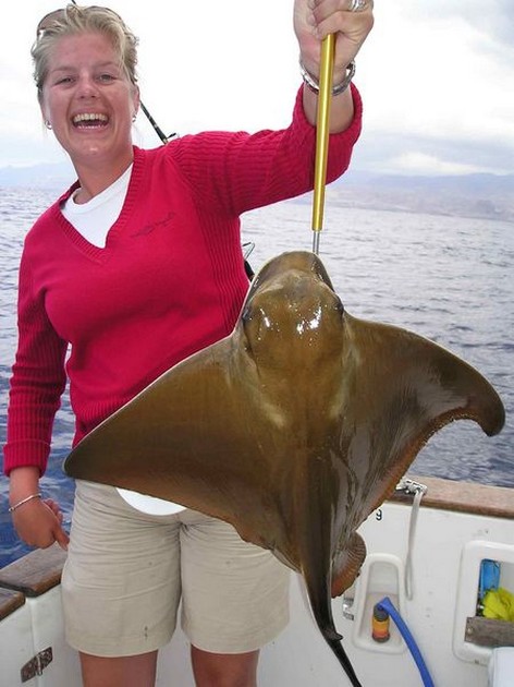 skipjack tuna Cavalier & Blue Marlin Sport Fishing Gran Canaria