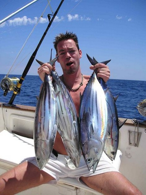 skipjack tuna Cavalier & Blue Marlin Sport Fishing Gran Canaria