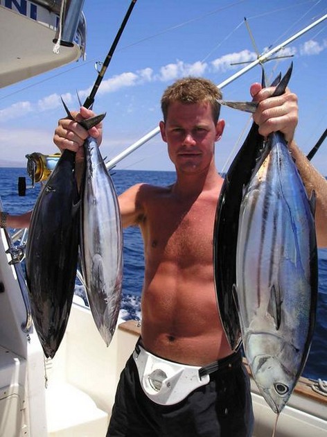 skipjack tuna Cavalier & Blue Marlin Sport Fishing Gran Canaria