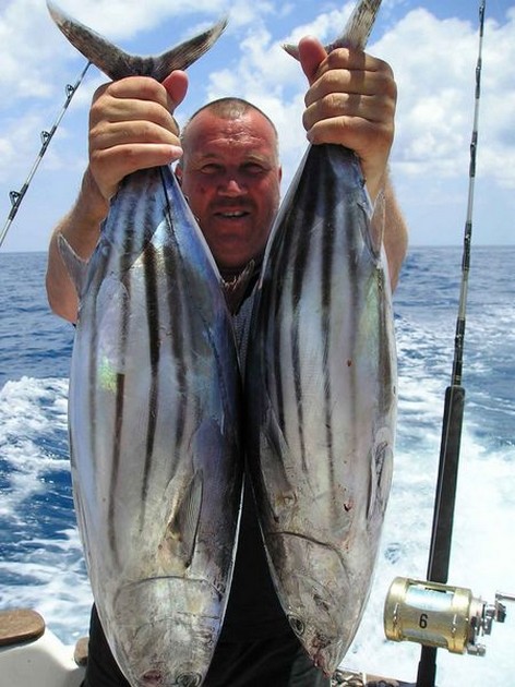 skipjack tuna Cavalier & Blue Marlin Sport Fishing Gran Canaria