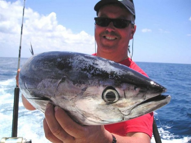 skipjack tuna Cavalier & Blue Marlin Sport Fishing Gran Canaria