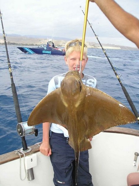 eagle ray Cavalier & Blue Marlin Sport Fishing Gran Canaria