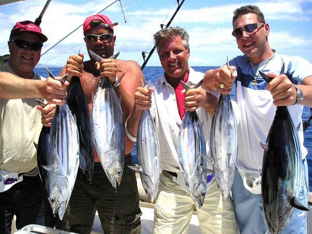 skipjack tuna Cavalier & Blue Marlin Sport Fishing Gran Canaria