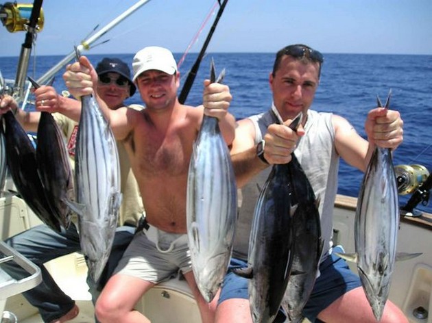 skipjack tuna Cavalier & Blue Marlin Sport Fishing Gran Canaria
