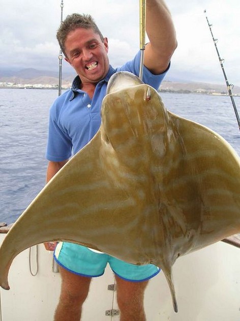 duckbill ray Cavalier & Blue Marlin Sport Fishing Gran Canaria