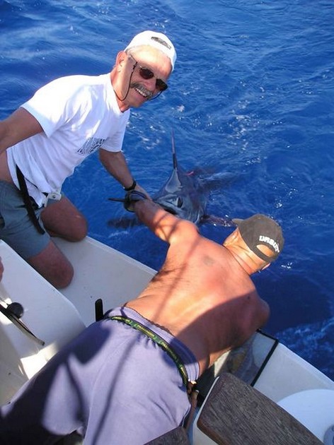 blue marlin Cavalier & Blue Marlin Sport Fishing Gran Canaria